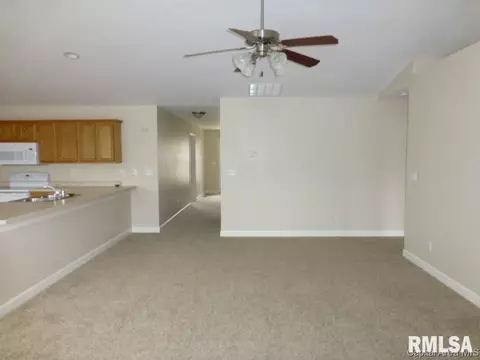 2725 Steiler Pl, Springfield, IL 62703 photo 4
