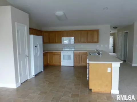 2725 Steiler Pl, Springfield, IL 62703 photo 5