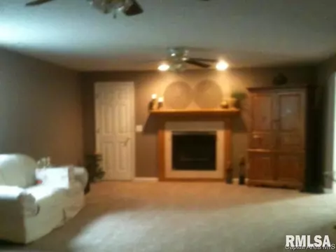 206 Dover Dr, Chatham, IL 62629 photo 19