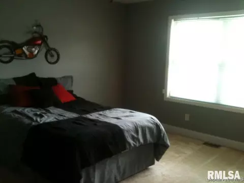 206 Dover Dr, Chatham, IL 62629 photo 8