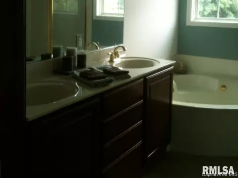 206 Dover Dr, Chatham, IL 62629 photo 20
