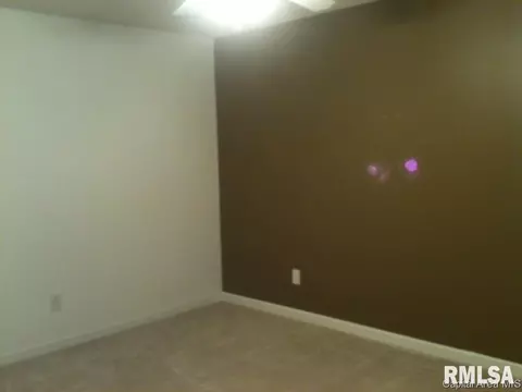 206 Dover Dr, Chatham, IL 62629 photo 13