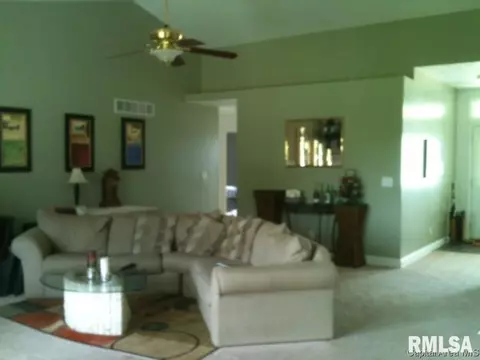 206 Dover Dr, Chatham, IL 62629 photo 12
