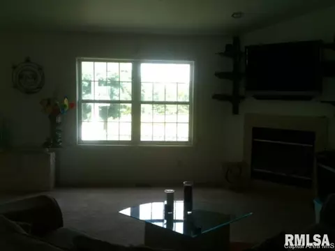 206 Dover Dr, Chatham, IL 62629 photo 10