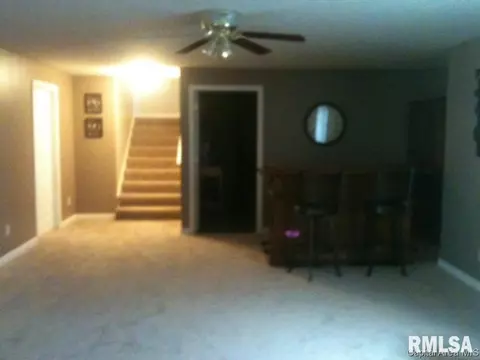 206 Dover Dr, Chatham, IL 62629 photo 11