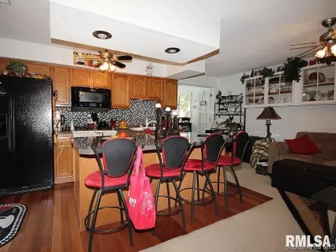 1506 W Iles, Springfield, IL 62704 photo 8