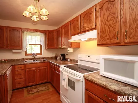 2217 Checkerberry Ln, Springfield, IL 62711 photo 6