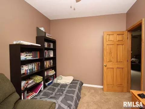 174 E Jackson St, Auburn, IL 62615 photo 18