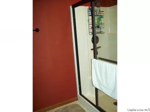 2618 Windfall Dr, Sherman, IL 62684 photo 15