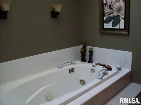 2618 Windfall Dr, Sherman, IL 62684 photo 14