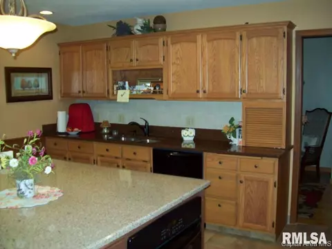2618 Windfall Dr, Sherman, IL 62684 photo 4