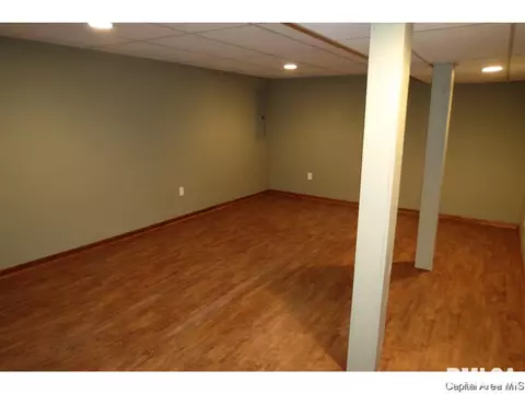 1821 E Black Ave, Springfield, IL 62702 photo 10