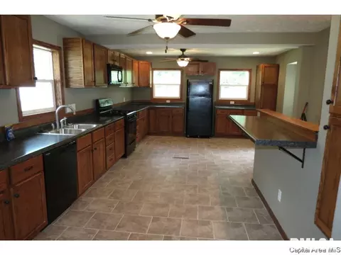 1821 E Black Ave, Springfield, IL 62702 photo 4