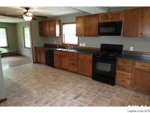 1821 E Black Ave, Springfield, IL 62702 photo 5