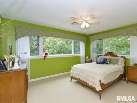 50 Frontier Lake Dr, Springfield, IL 62707 photo 13