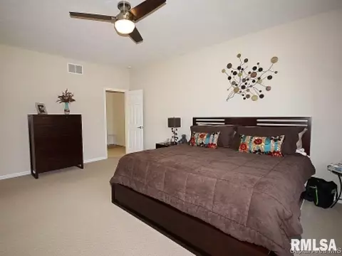 219 Marblestone Dr, Chatham, IL 62629 photo 9