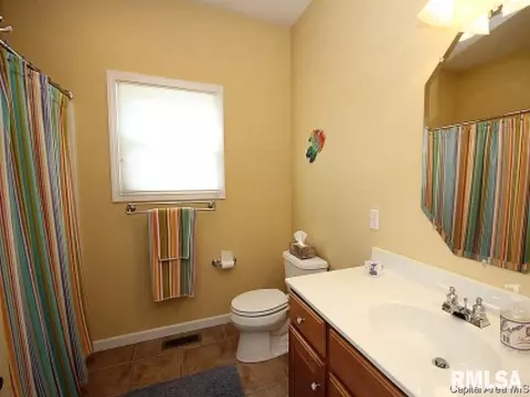 219 Marblestone Dr, Chatham, IL 62629 photo 17