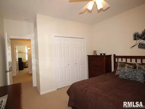 219 Marblestone Dr, Chatham, IL 62629 photo 15