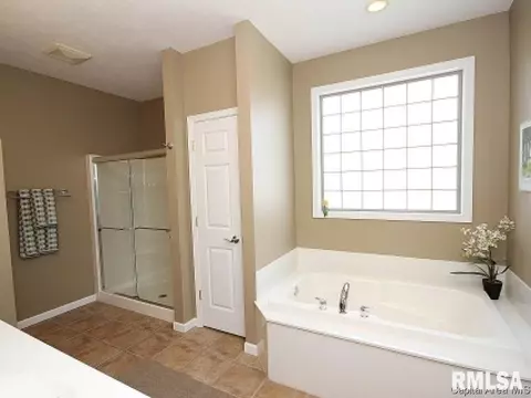 219 Marblestone Dr, Chatham, IL 62629 photo 12