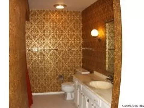 1411 Denison, Springfield, IL 62704 photo 10