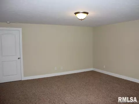908 Pheasant Run, Sherman, IL 62684 photo 13