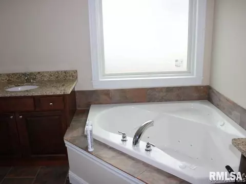 908 Pheasant Run, Sherman, IL 62684 photo 10