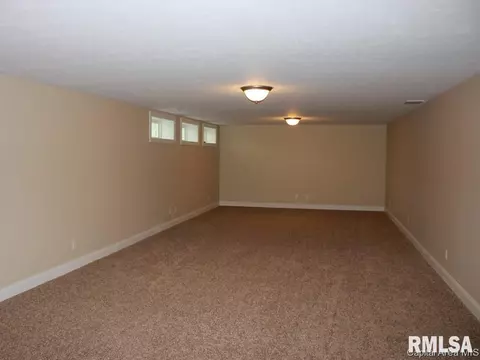 908 Pheasant Run, Sherman, IL 62684 photo 18