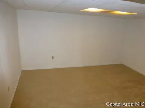 2917 E Griffiths Ave, Springfield, IL 62702 photo 11