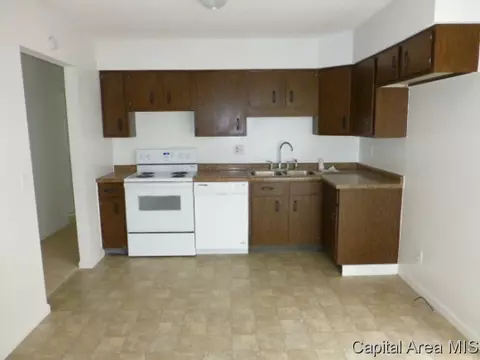 2917 E Griffiths Ave, Springfield, IL 62702 photo 4