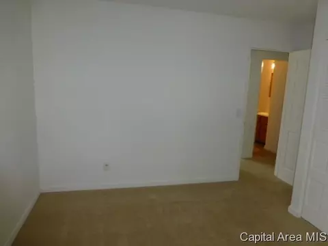2917 E Griffiths Ave, Springfield, IL 62702 photo 9