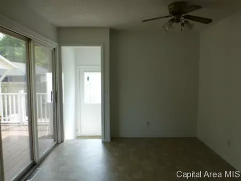 2917 E Griffiths Ave, Springfield, IL 62702 photo 5