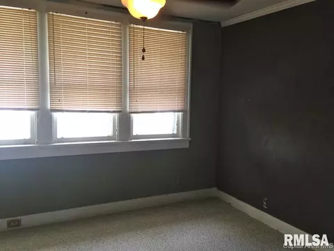222 E Pine Street St, Springfield, IL 62704 photo 14