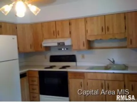 1112 N 19th, Springfield, IL 62702 photo 2