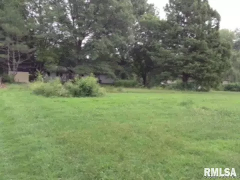 38 Devine Dr, Riverton, IL 62561 photo 22