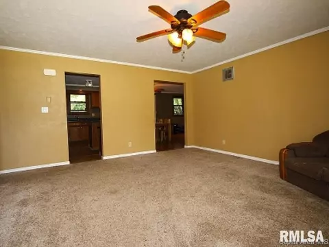 38 Devine Dr, Riverton, IL 62561 photo 4