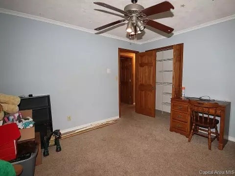 38 Devine Dr, Riverton, IL 62561 photo 11