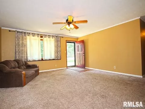 38 Devine Dr, Riverton, IL 62561 photo 3