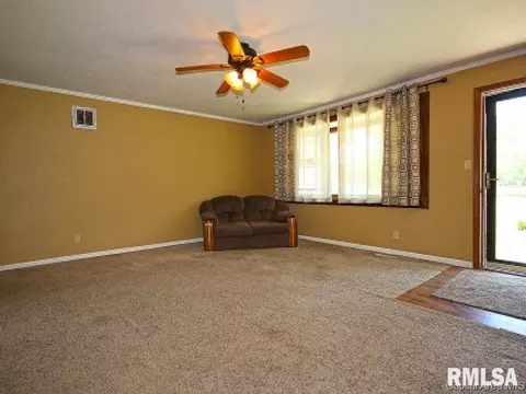 38 Devine Dr, Riverton, IL 62561 photo 2