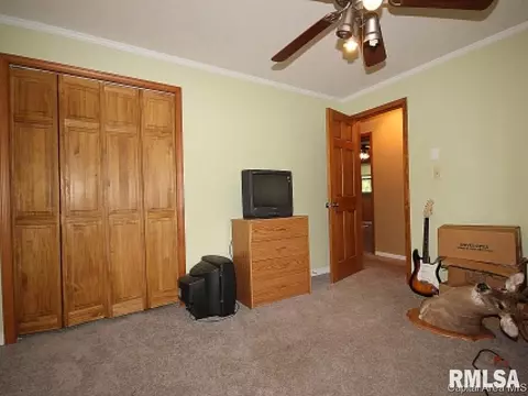 38 Devine Dr, Riverton, IL 62561 photo 13