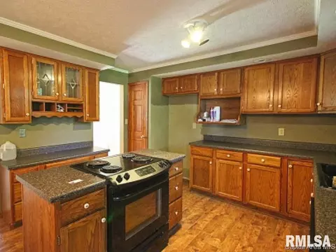 38 Devine Dr, Riverton, IL 62561 photo 6