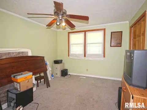 38 Devine Dr, Riverton, IL 62561 photo 14