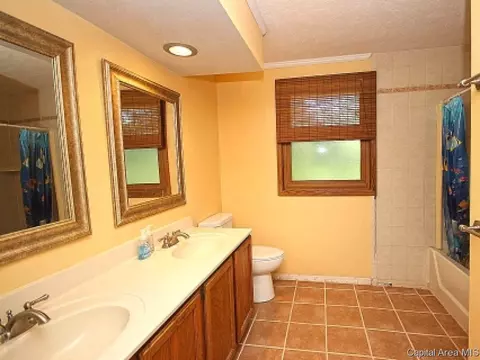38 Devine Dr, Riverton, IL 62561 photo 18