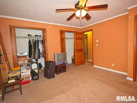 38 Devine Dr, Riverton, IL 62561 photo 16