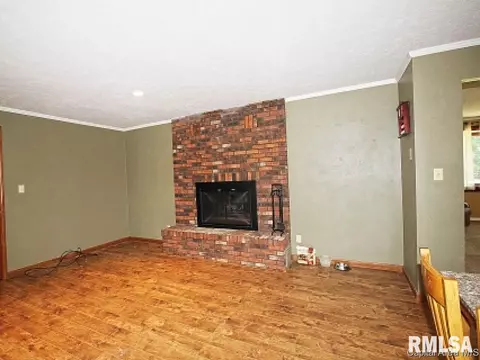 38 Devine Dr, Riverton, IL 62561 photo 9