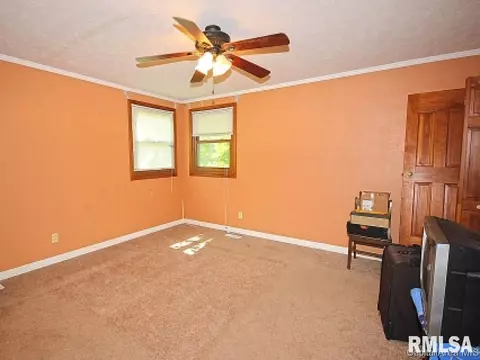 38 Devine Dr, Riverton, IL 62561 photo 17