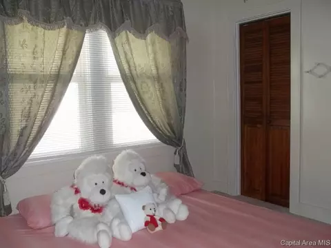 1417 E Converse, Springfield, IL 62702 photo 14