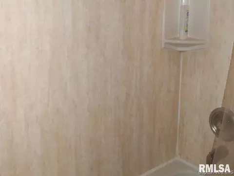1417 E Converse, Springfield, IL 62702 photo 13