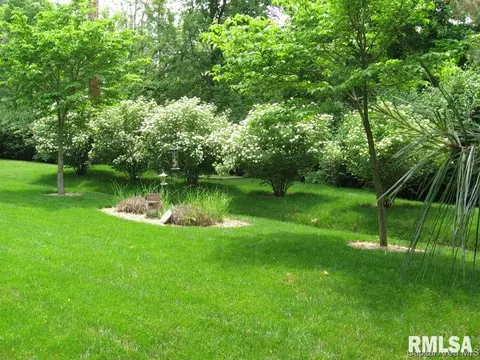 1408 James St, Springfield, IL 62703 photo 20