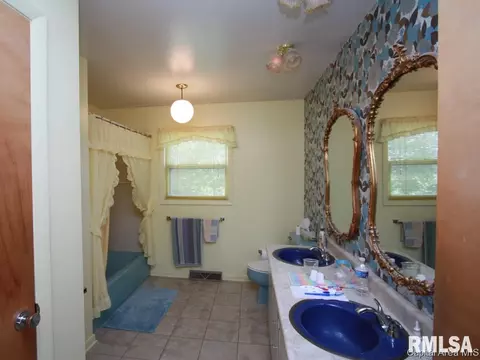 38 Providence Ln, Springfield, IL 62711 photo 9