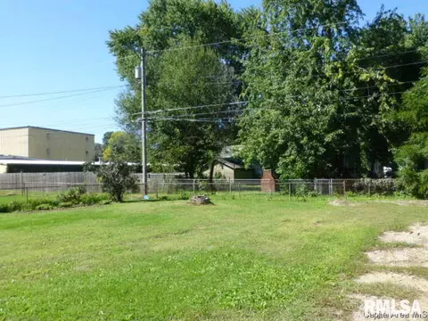 1149 N 2nd Street St, Springfield, IL 62702 photo 10